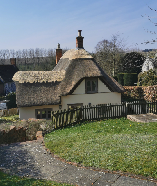 Conservation and Restoration of Thatching