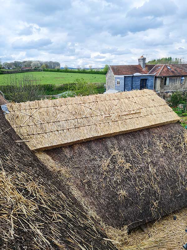 Conservation and Restoration of Thatching